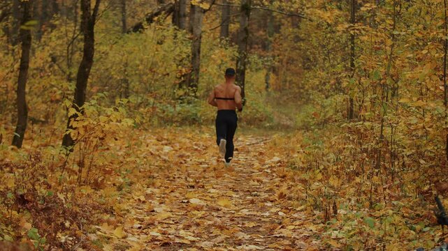 Young muscular man with heart rate monitor on his chest runs along path covered with fallen yellow leaves in forest. Back view. Concept of complex benefits of running