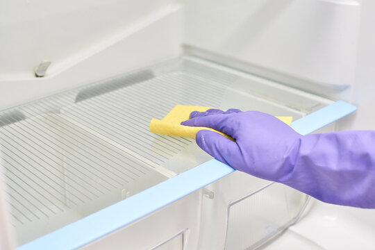 Gloved hand cleaning refrigerator shelf with yellow sponge for hygiene and maintenance.