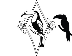 Fototapeta premium toucan clipart vector illustration 