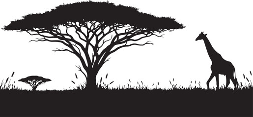 Silhouette of a giraffe walking near an acacia tree in the African savanna Keywords: giraffe, acacia tree