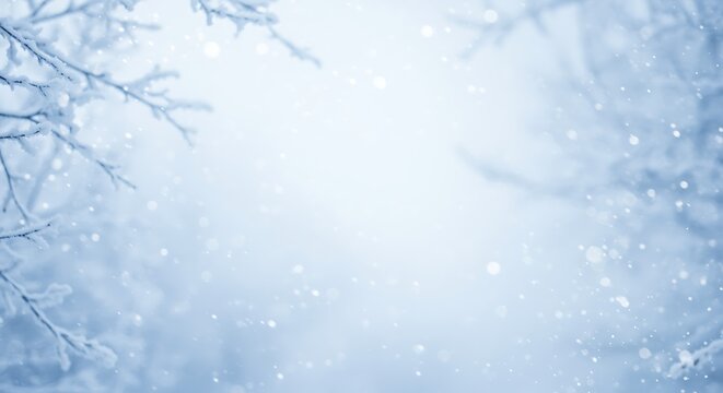 Winter Wonderland Snow Falling on Tree Branches with Soft Light