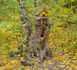 bird house on a tree