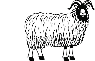 Stylized Sheep Head Icon Silhouette Vector Illustration  
