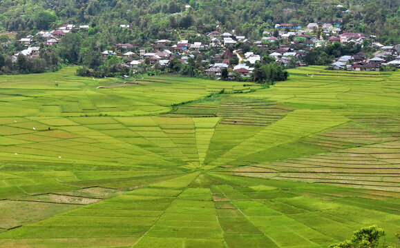 Panoramic view of Spider Web rice field in Cancar village, Ruteng area, Flores island, Indonesia
