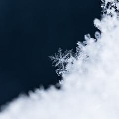 Snowflakes frame creating a border on black background