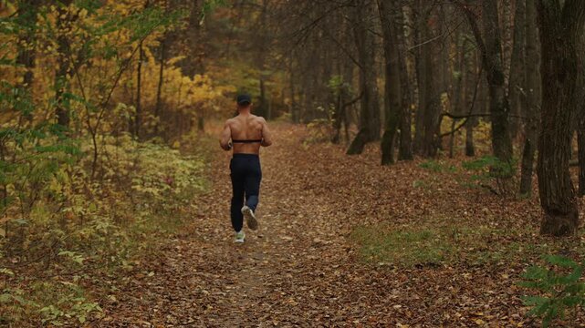 Young man wearing cap training in an autumn forest and running along path covered in fallen yellow leaves with chest heart rate monitor. Back view. Concept for improving fitness and endurance
