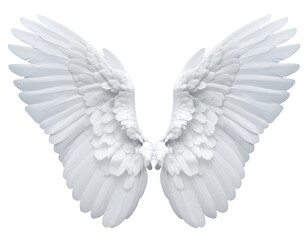 Obraz premium Angel wings cutout. White wings on transparent background