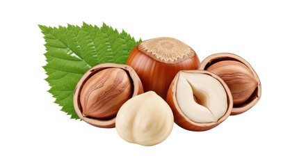 Hazelnuts with green leaf isolated on transparent background PNG, shelled and unshelled nuts for healthy snack and ingredient use