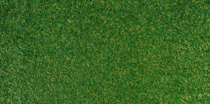 green grass texture