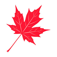 Red maple leaf icon symbolizing canada, autumn, and nature. isolated on transparent background
