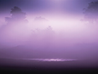 Elegant purple lily vector design with soft gradient for creative projects