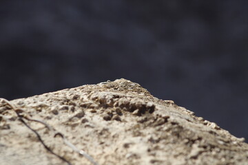 ground