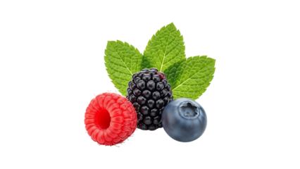Fresh mixed berries and mint leaves isolated on transparent background