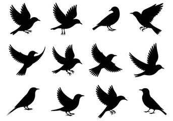 Bird silhouette icon set with multiple flying poses in clean black vector style, perfect for nature artwork, wildlife graphics, outdoor themes, freedom symbols, and minimal design projects