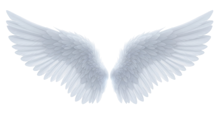 Elegant angel wings PNG isolated on transparent background, heavenly feathered wings for graphic design and spiritual concepts