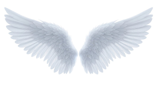 Elegant angel wings PNG isolated on transparent background, heavenly feathered wings for graphic design and spiritual concepts