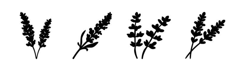 Black lavender sprigs illustration collection, minimalist floral design elements.
