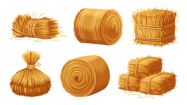 Vintage illustration of various hay bale shapes and sizes on white background