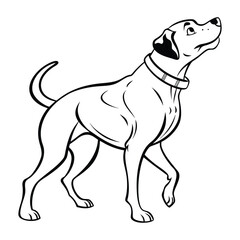 Obraz premium Line art illustration of a domestic dog standing attentively, looking up with a collar Vector