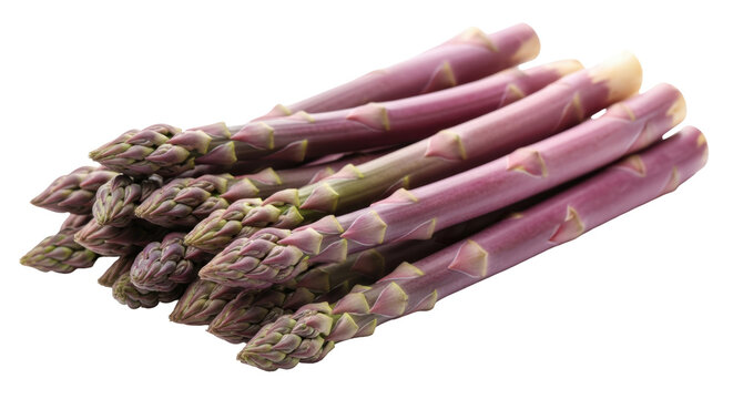 Purple asparagus spears isolated PNG, fresh raw vegetable for healthy eating and gourmet cooking on transparent background