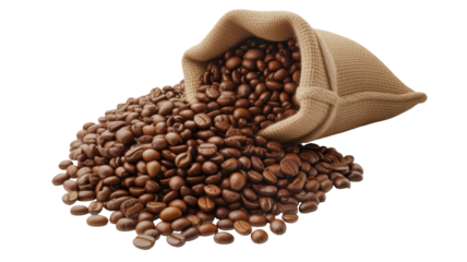 Roasted coffee beans spilling from burlap sack, aroma and flavor concept for cafes