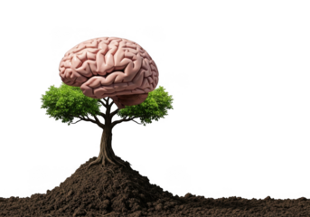 Mind development tree concept from soil. isolated on transparent background