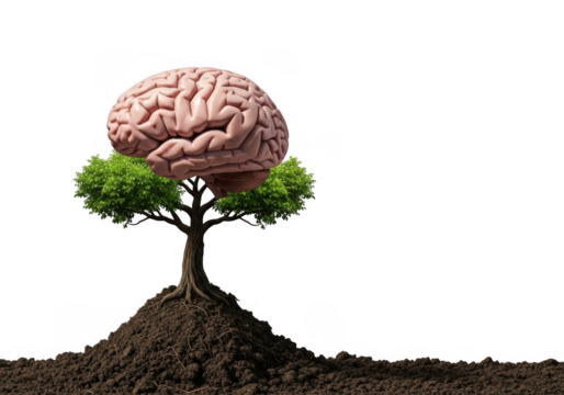 Mind development tree concept from soil. isolated on transparent background