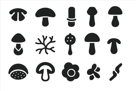 Fungal Anatomy Icons. Solid style icons of Fungal anatomy: gills, cap, stalk, ring, volva, mycelium strands, spore sac, fruiting
