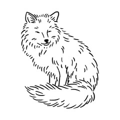 Line art fox illustration