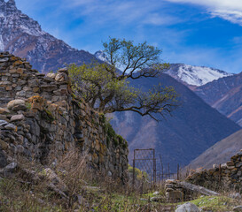 Alansky Dormition Monastery