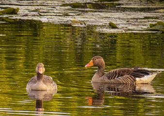 Ecopark Kołobrzeg © lech