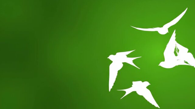 Soaring Swallows: White Silhouettes on Green