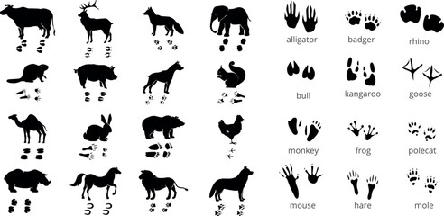 Wildlife Animal Silhouette Set With Matching Footprints Including Lion Elephant Monkey Dog Horse Vector