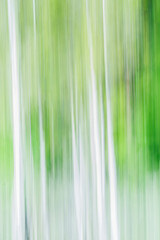 Obraz premium Environmental blurry streaky background image.