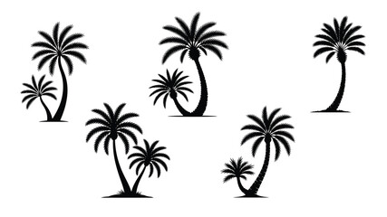 illustration-of-three-black-palm-trees-with-detail. eps