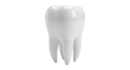 Realistic molar tooth isolated PNG, dental anatomy model for dentistry and oral hygiene education, on transparent background