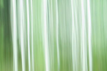 Environmental blurry streaky background image.