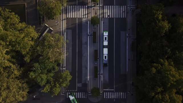 Aerial view of street with trees and tram, Malmo, Sweden.