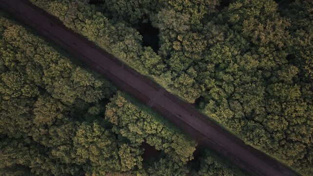 Aerial view of a road cutting through Pildammsparken, the dark pavement contrasting with the vibrant green canopy, creating a dynamic landscape, Malmo, Scania County, Sweden.