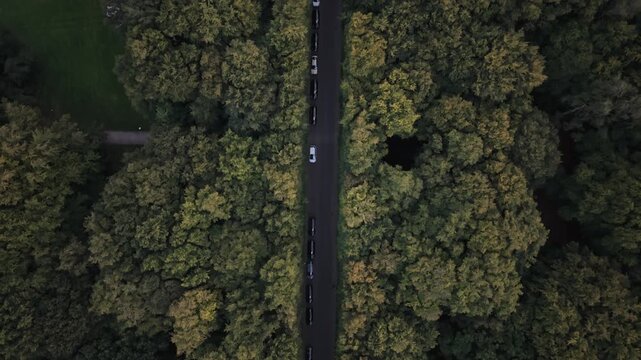 Aerial view of road with cars and trees in Pildammsparken in Malmo, Sweden.