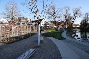 A park with a bench and a tree