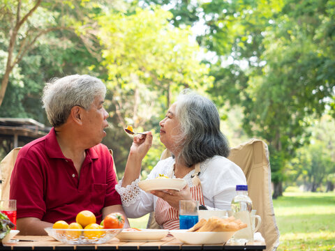 Happy retired senior Asian couple enjoying a healthy picnic and conversation in a lush park. The elderly man and woman are smiling and relaxing outdoors, celebrating love and active retirement.