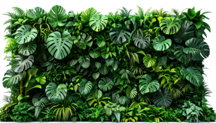 A dense wall of lush, vibrant green plants with varying leaf shapes and textures