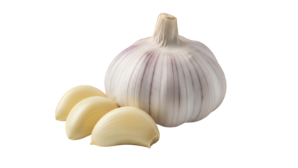 Fresh whole garlic bulb with peeled cloves, a healthy raw vegetable ingredient for cooking, isolated on transparent background