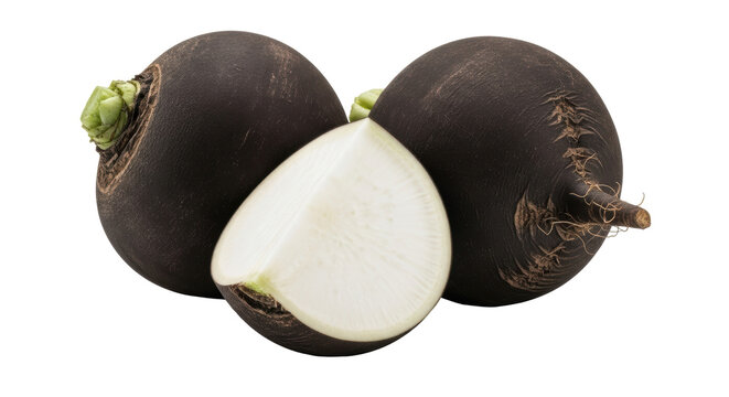 Black radish isolated PNG on transparent background, raw root vegetable with dark skin and white flesh, healthy eating