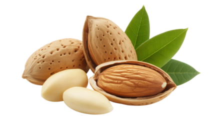 Nutritious almonds with shells and leaves offer healthy snacking options today
