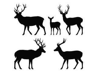 A family of deer stands together, displaying their majestic antlers in silhouette.