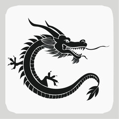Obraz premium Jolie illustration d'un dragon en noir et blanc, stylisé, fond blanc, artistique