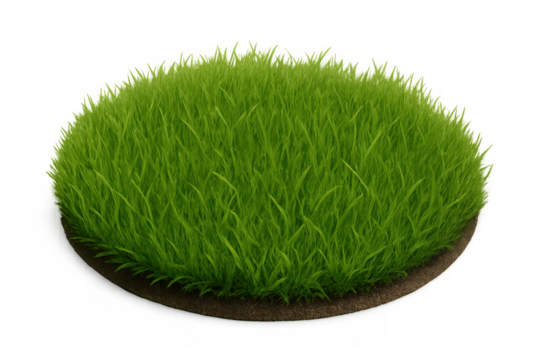 Green patch of healthy grass turf, ideal for cutout applications, creating natural environments, or as an isolated element
