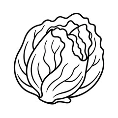 Vector illustration of a cabbage head vegetable designed like a human brain for food, health, and medical science concepts